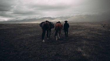 Horse and cowboy wal