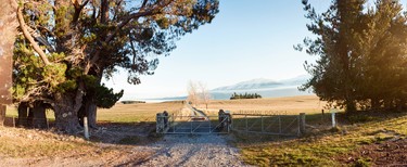 Tasman Downs Station